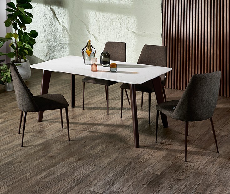 dining table, dining chair