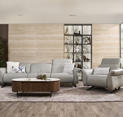 leather sofa